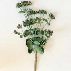 Fiorira' Un Giardino Flowering Sedum Branch