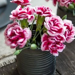 Fiorira' Un Giardino Medium Tin Tea Light