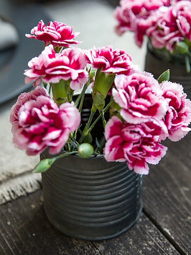 Fiorira' Un Giardino Medium Tin Tea Light 4 Fiorira' Un Giardino Medium Tin Tea Light