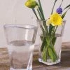 Fiorira' Un Giardino Small Transparent Glass