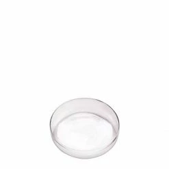 Fiorira' Un Giardino Mini Glass Plate - Set 2
