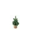 Fiorira' Un Giardino Pot with Fir Tree and LED Lights