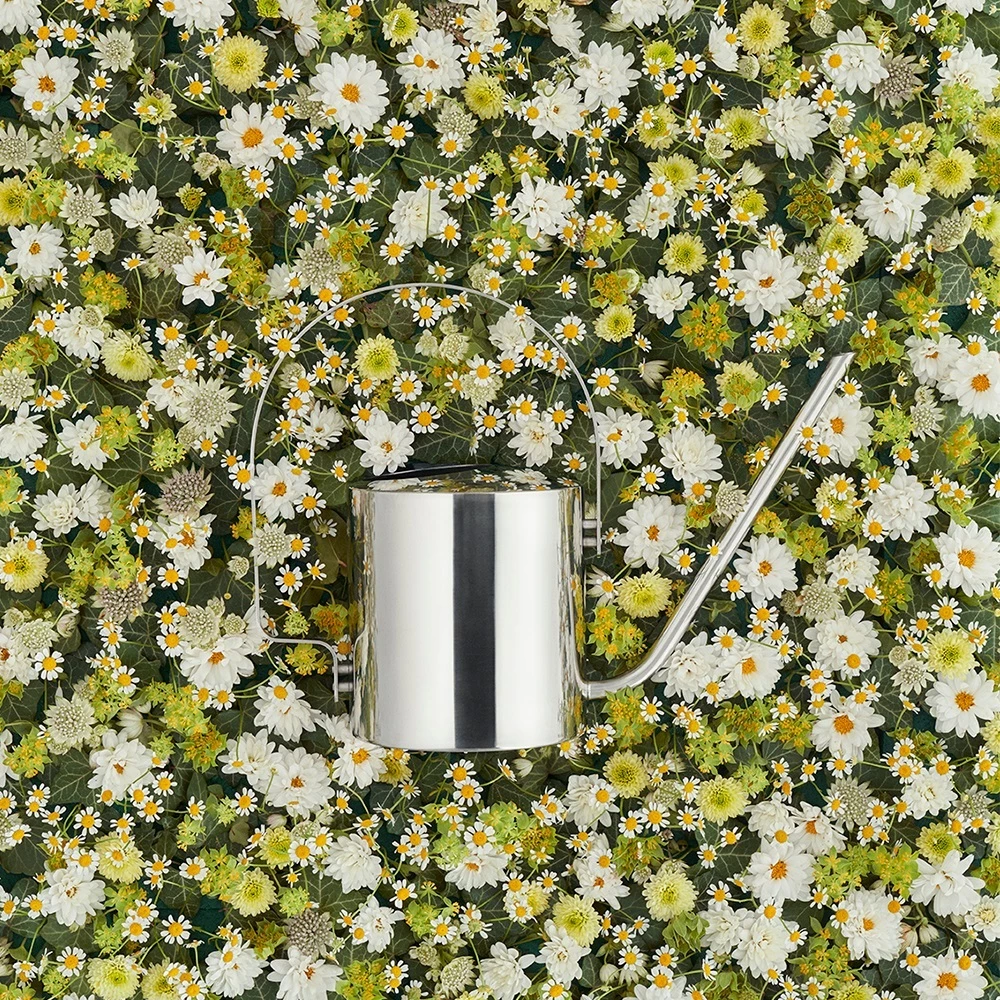 Stelton Original Flower Watering Can Special Anniversary Edition 4 Stelton Original Flower Watering Can Special Anniversary Edition